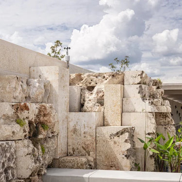 Coral Dominicano - 12"x24" Natural Stone Pavers by Coraldom