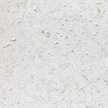 Coral Dominicano - 12"x24" Natural Stone Pavers by Coraldom