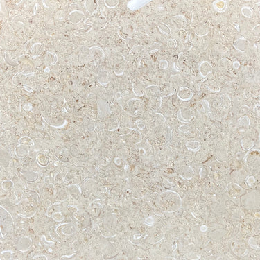 Coral Dominicano - 12"x24" Natural Stone Pavers by Coraldom