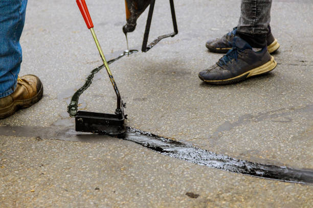 Paver Guy's Pressure Cleaning